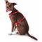 Show in main carousel: GF Pet Travel Harness, Red, X-Large slide 5 of 7