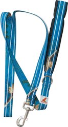 Doggy Tales Realtree Classic Dog Leash, 6-ft long, Surf Blue