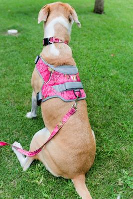 Show full view: Doggy Tales Realtree Classic Dog Leash, 6-ft long, Paradise Pink slide 3 of 7