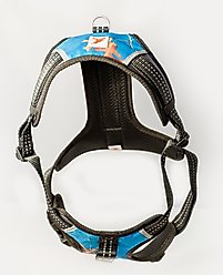Doggy Tales Realtree 2X Sport Dog Harness, Surf Blue, Medium slide 2 of 8
