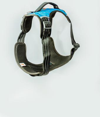 Show full view: Doggy Tales Realtree 2X Sport Dog Harness, Surf Blue, Medium slide 8 of 8