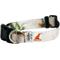 Show in main carousel: Doggy Tales Realtree Adjustable Dog Collar, Snow, Small slide 1 of 5