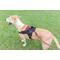 Show in main carousel: Doggy Tales Patented Hart Dog Harness, Red, 45 slide 8 of 8