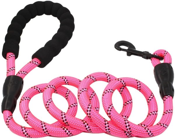 Doggy Tales Braided Rope Dog Leash, 5-ft long, Pink slide 1 of 8
