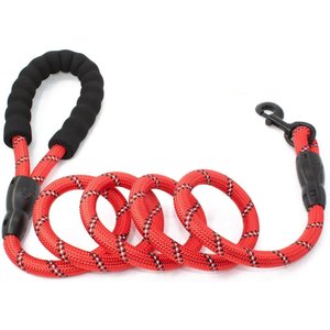 Doggy Tales Braided Rope Dog Leash, 5-ft long, Red