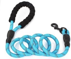 Doggy Tales Braided Rope Dog Leash, 5-ft long, Blue