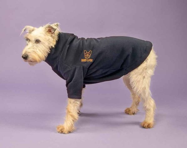 fleece jumper dog