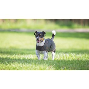 Shires Equestrian Products Digby & Fox Wax Dog Coat, X-Large