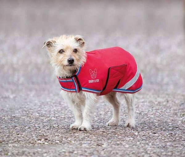 Shires Equestrian Products Digby & Fox Waterproof Dog Coat