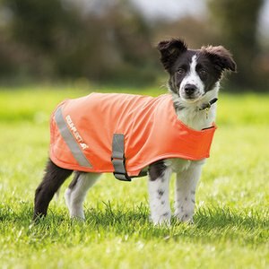 equi coat for dogs