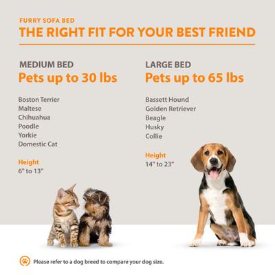 Show full view: Moots Furry Sofa Lounge Orthopedic Elevated Cat & Dog Bed with Removable Cover, Charcoal, Medium slide 9 of 13