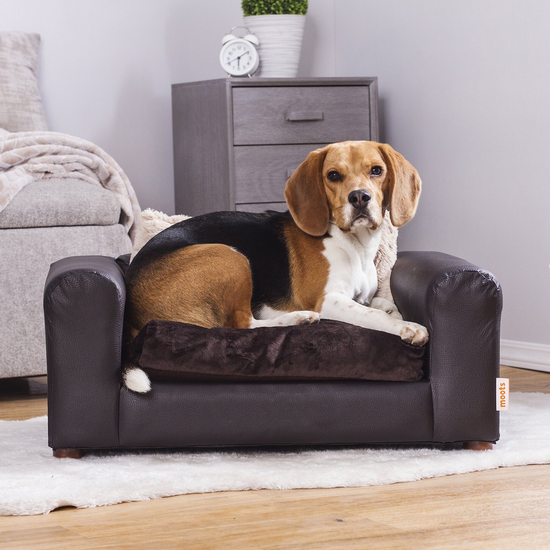 Moots Cleopatra Pet Dog Sofa