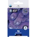 ASF SeaTest Mg2+ Magnesium Fish Aquarium Water Test Kit, 40 count
