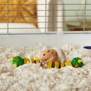 Frisco Caterpillar Small Pet Chew Toy (2 PK)