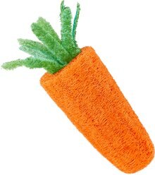 Frisco Small Pet Carrot Loofah Chew Toy