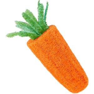 Frisco Small Pet Carrot Loofah Chew Toy