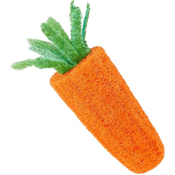 Frisco Carrot Loofah Small Pet Chew Toy