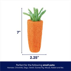 Frisco Small Pet Carrot Loofah Chew Toy slide 2 of 3