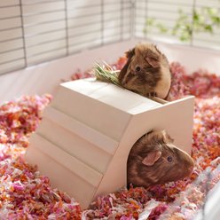 Frisco Hay Rack Small Pet Hideout, Large