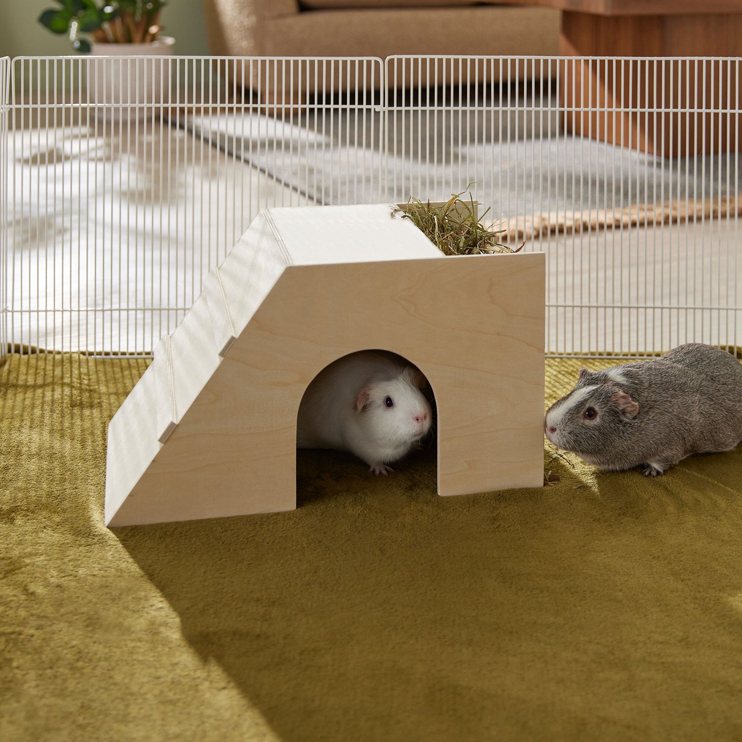 FRISCO Hay Rack Small Pet Hideout, X-Large - Chewy.com