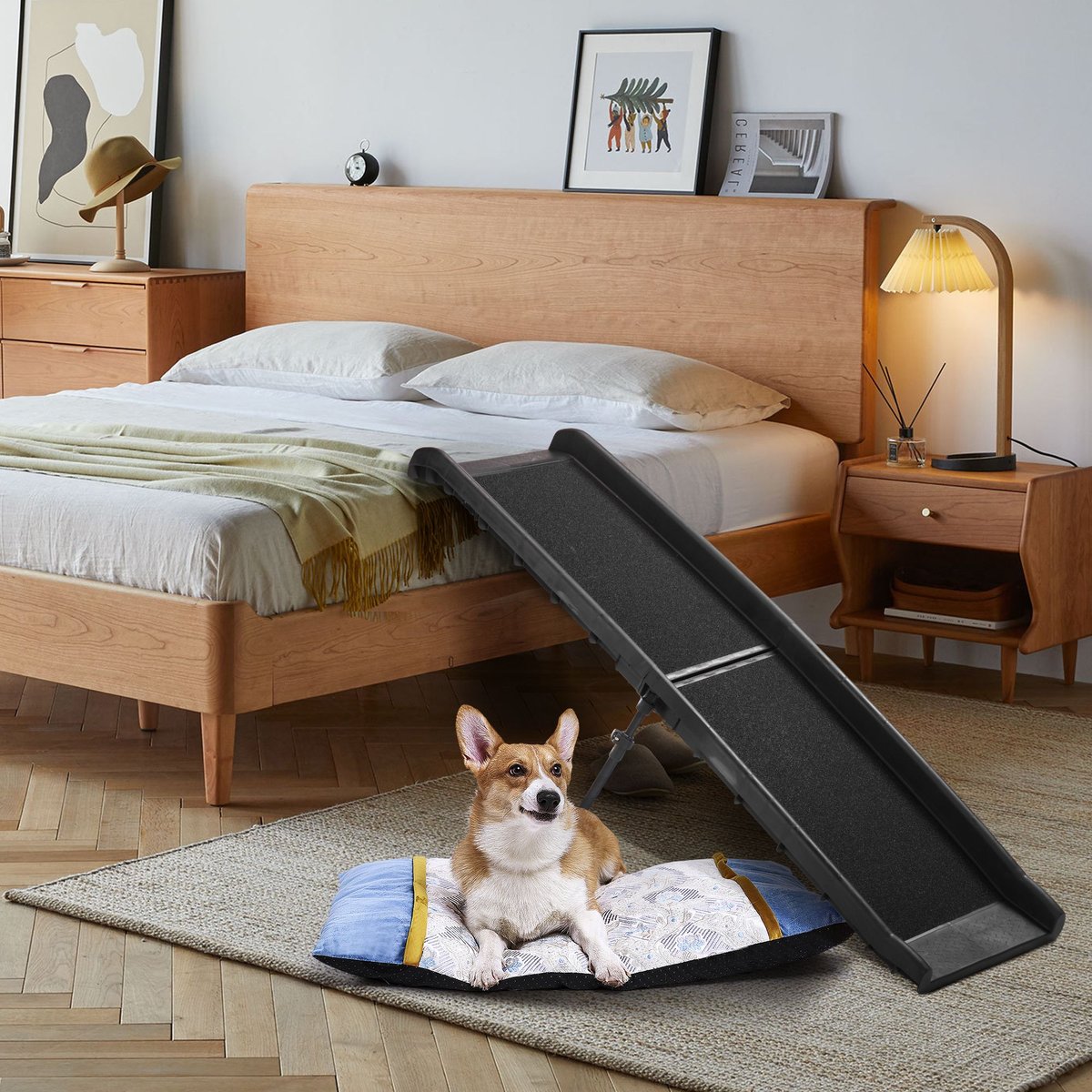 COZIWOW by Jaxpety Foldable Dog Car Ramp, Black, 62-in - Chewy.com