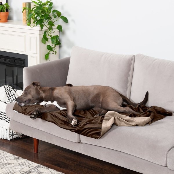 FurHaven Waterproof Velvet Dog & Cat Throw Blanket, Brownstone, Large slide 1 of 9