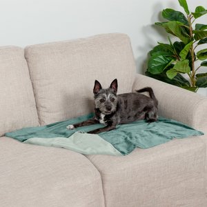 FurHaven Waterproof Velvet Dog & Cat Throw Blanket, Celadon Green, Small