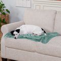 FurHaven Waterproof Velvet Dog & Cat Throw Blanket, Celadon Green, Medium