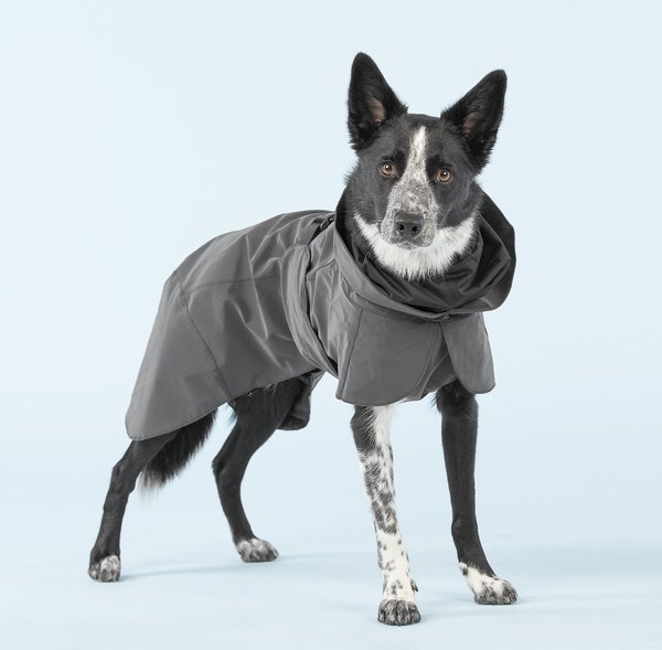 PAIKKA Visibility Dog Raincoat, 45 slide 1 of 10