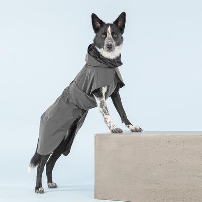 Show full view: PAIKKA Visibility Dog Raincoat, 50 slide 5 of 12