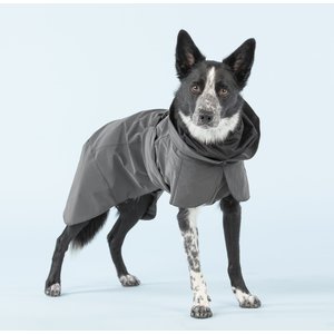 Chewy V Dog Raincoat  Stylish Protection for Doxie on Rainy Days