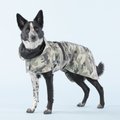PAIKKA Recovery Dog Raincoat, 55