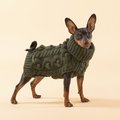 PAIKKA Handmade Knit Dog Sweater, Green, 50
