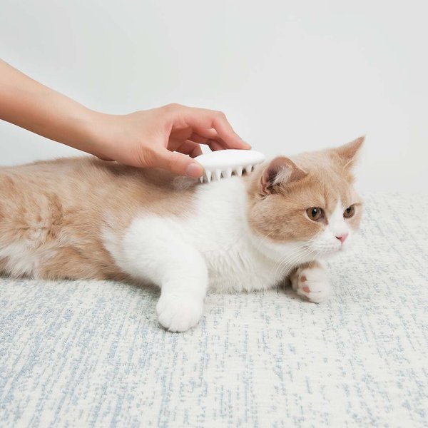 Petkit Dog & Cat Comb & Massager, White slide 1 of 5