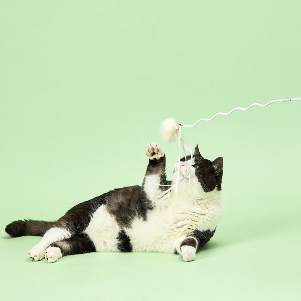 PETKIT Cat Bingo Stick Toy