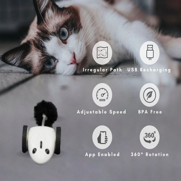 INSTACHEW PureChase Smart Mouse Cat Toy