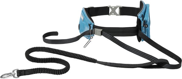Frisco Outdoor Running Belt with Bungee Dog Leash, Blue, SM slide 1 of 8