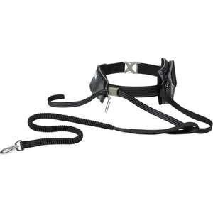 Frisco Outdoor Running Belt with Bungee Dog Leash, Black, SM