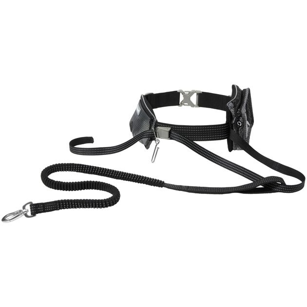 FRISCO Outdoor Running Belt with Bungee Dog Leash, Black, ML - Chewy.com