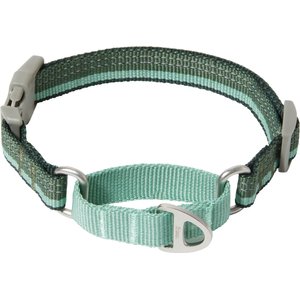 Frisco Outdoor Running Martingale Dog Collar, XS - Neck: 8 - 12-in, Green, Width: 5/8-in