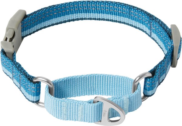 Frisco Outdoor Running Martingale Dog Collar, SM - Neck: 10 - 14-in, Blue, Width: 5/8-in slide 1 of 5