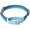 Frisco Outdoor Running Martingale Dog Collar, SM - Neck: 10 - 14-in, Blue, Width: 5/8-in