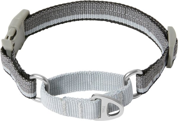 Frisco Outdoor Running Martingale Dog Collar, SM - Neck: 10 - 14-in, Black, Width: 5/8-in slide 1 of 5