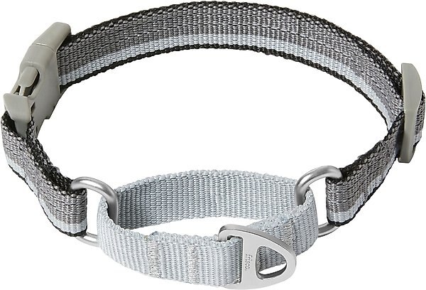 Frisco Outdoor Running Martingale Dog Collar, MD - Neck: 14 - 20-in, Black, Width: 3/4-in slide 1 of 5