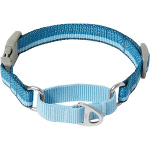 Frisco Outdoor Running Martingale Dog Collar, LG - Neck: 18 - 26-in, Blue, Width: 1-in
