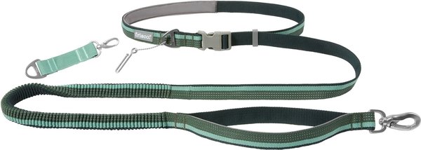 Frisco Outdoor Running Hands-Free Dog Leash, Green: 6-ft long, 1-in wide slide 1 of 8