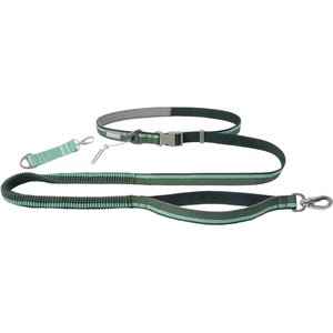 Frisco Outdoor Running Hands-Free Dog Leash, Green: 6-ft long, 1-in wide