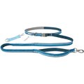 Frisco Outdoor Running Hands-Free Dog Leash, Blue: 6-ft long, 1-in wide