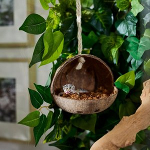 Frisco Coconut Bird Feeder