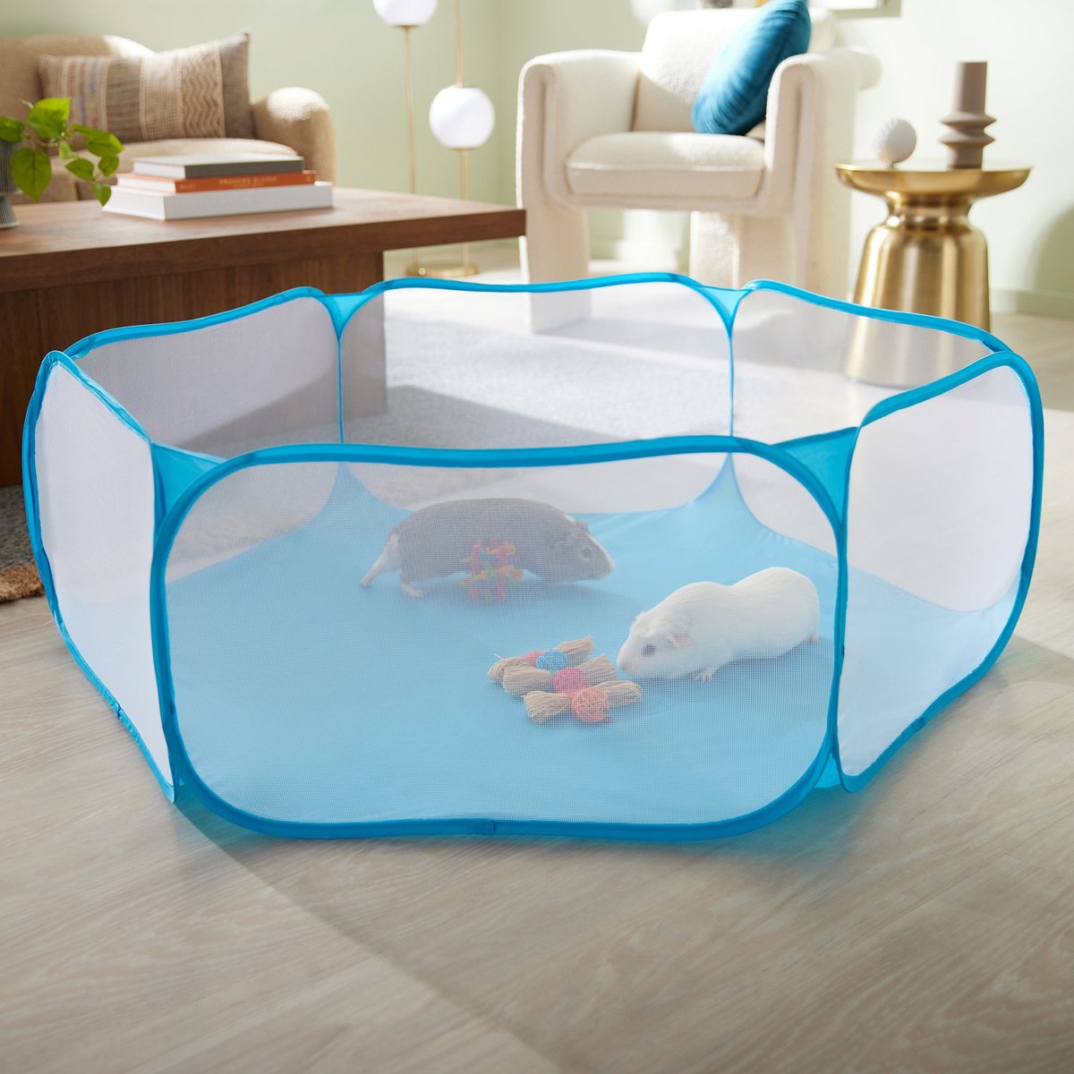 Pop up guinea top pig playpen